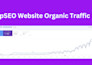 create 1000s of programmatic SEO pages for your wp website